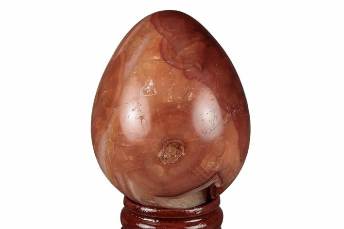 Colorful, Polished Carnelian Agate Egg - Madagascar #219065